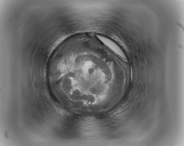 X0000096220483200802081528