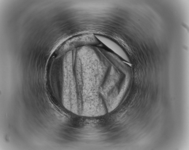 X0000096220484200802081528