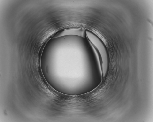 X0000096220485200802081528