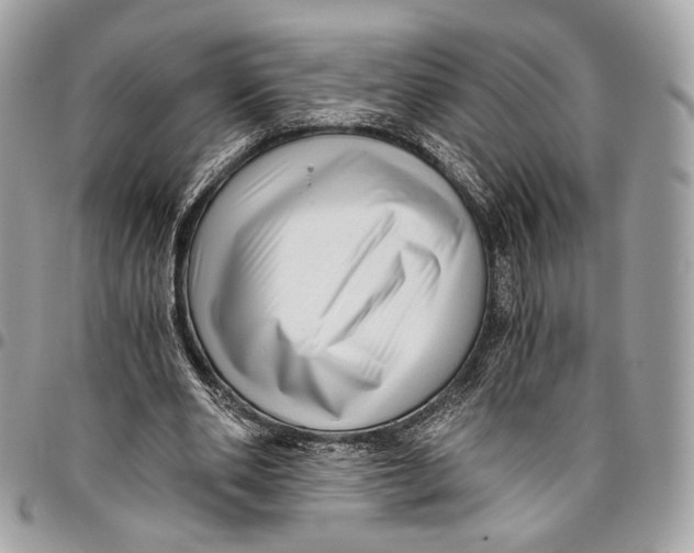 X0000096220486200802081528