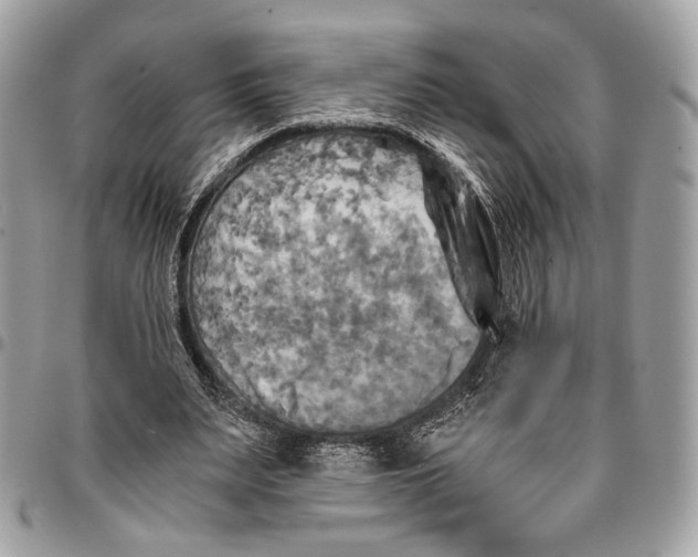 X0000096220487200802081528