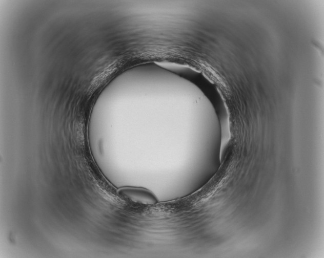 X0000096220489200802081528