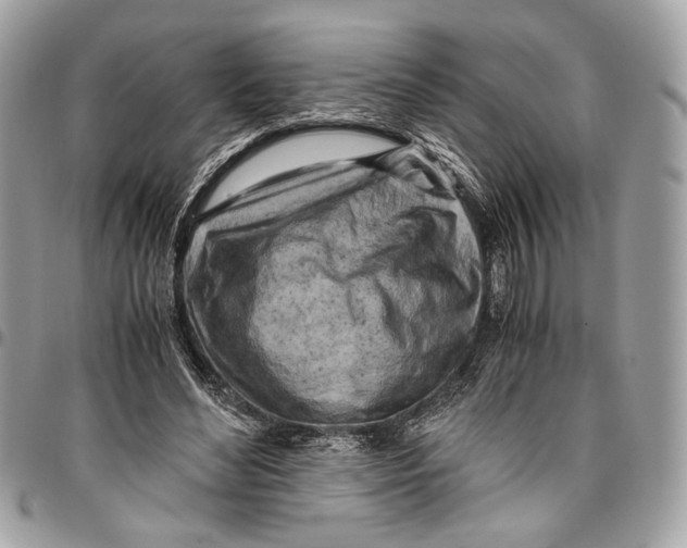 X0000096220492200802081528