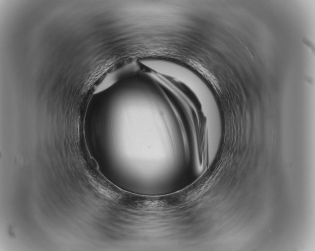 X0000096220493200802081528