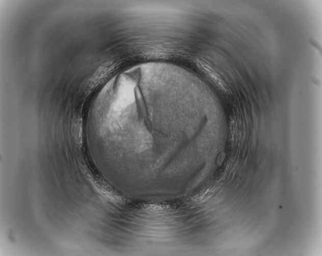 X0000096220494200802081528