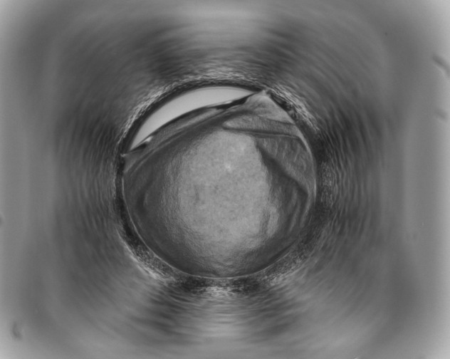 X0000096220496200802081528