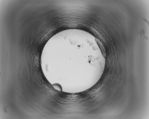 X0000096220497200802081528