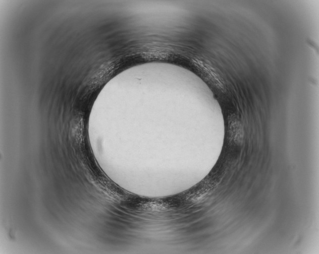 X0000096220498200802081528