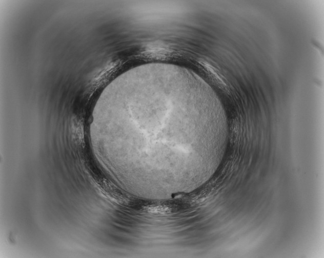 X0000096220500200802081528