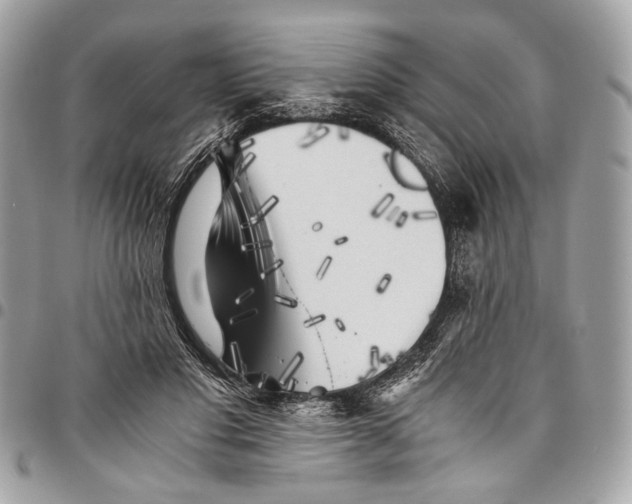 X0000096220501200802081528