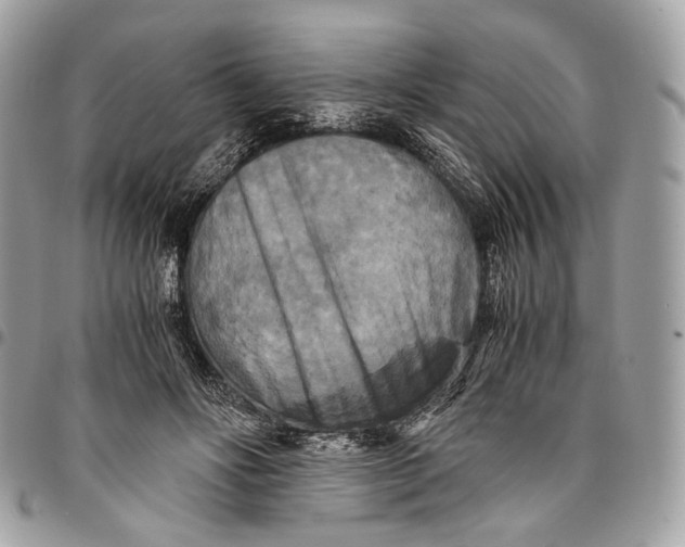 X0000096220502200802081528