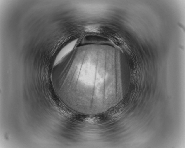 X0000096220504200802081528