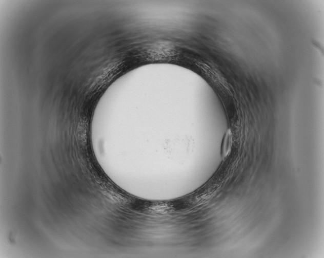 X0000096220505200802081528