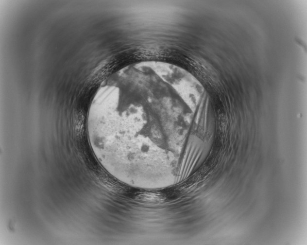 X0000096220507200802081528