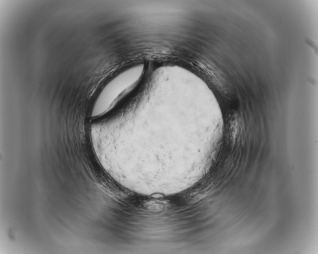 X0000096220508200802081528