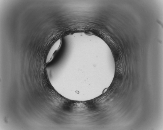 X0000096220509200802081528