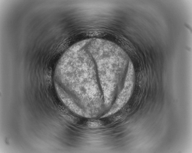 X0000096220510200802081528