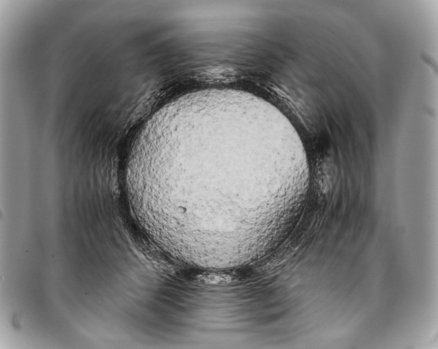 X0000096220512200802081528