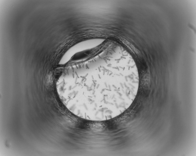 X0000096220513200802081528