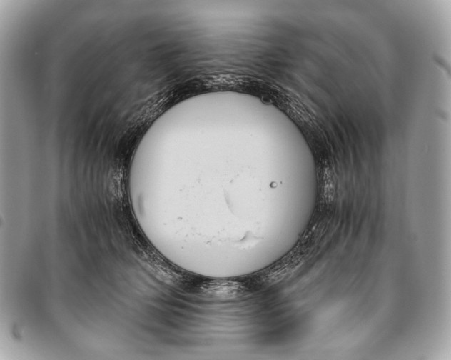 X0000096220514200802081528