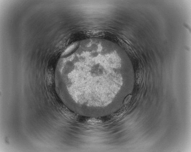 X0000096220515200802081528