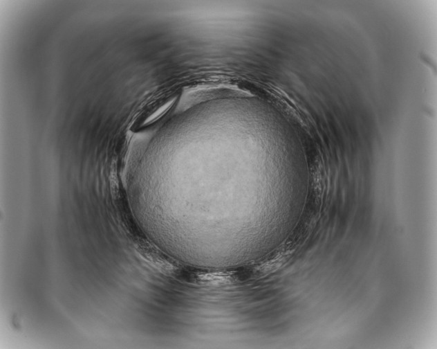 X0000096220516200802081528