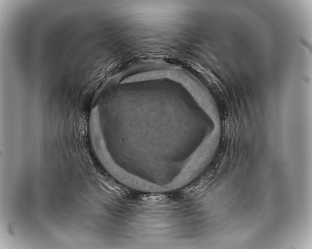 X0000096220517200802081528