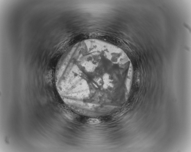 X0000096220519200802081528