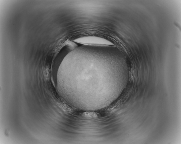 X0000096220520200802081528