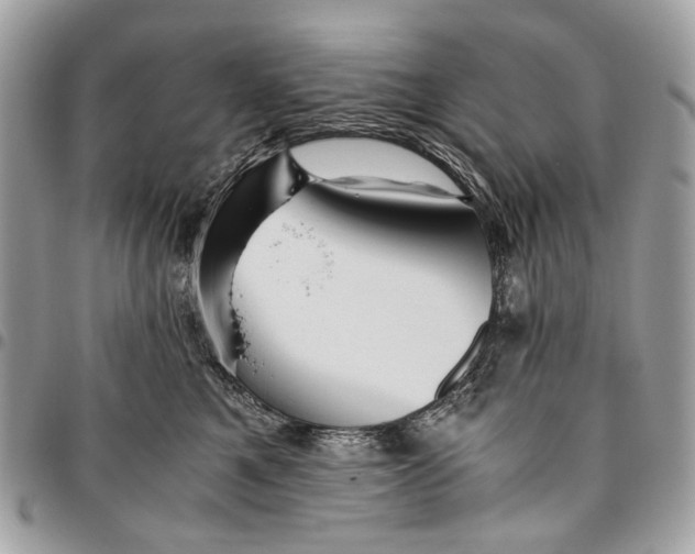 X0000096220521200802081528