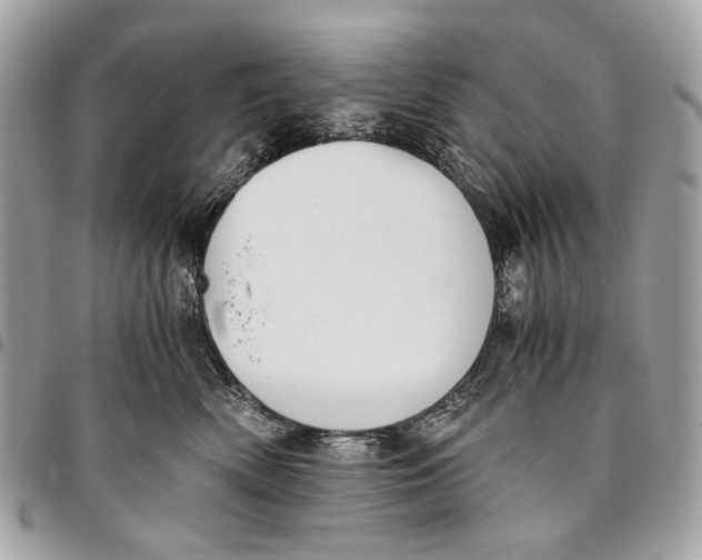 X0000096220522200802081528