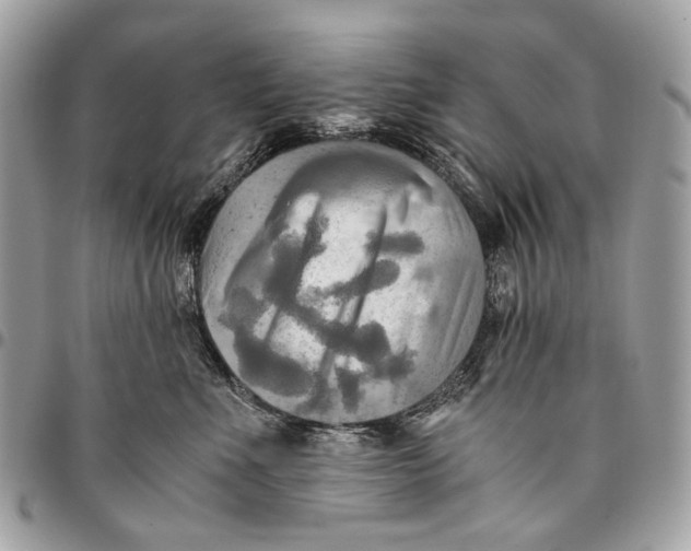 X0000096220523200802081528