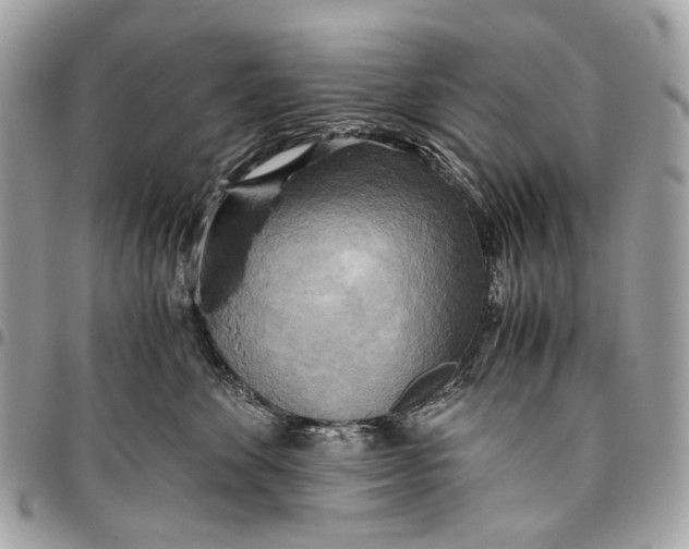 X0000096220524200802081528