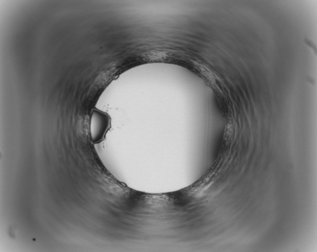 X0000096220525200802081528