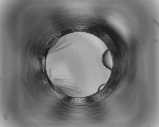 X0000096220526200802081528