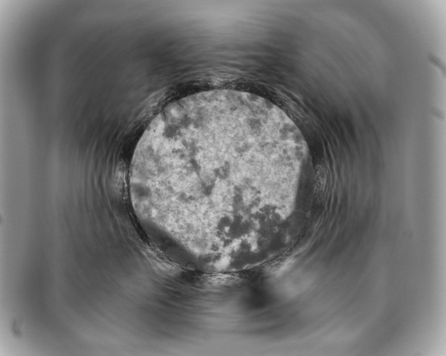 X0000096220527200802081528