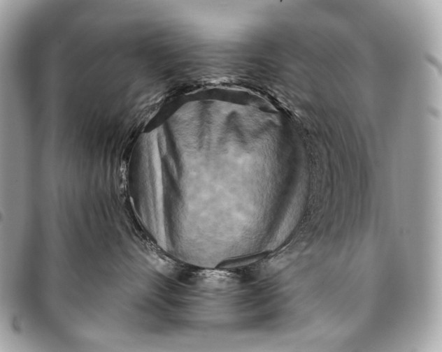 X0000096220528200802081528