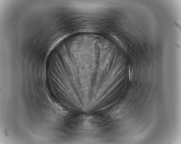 X0000096220531200802081527