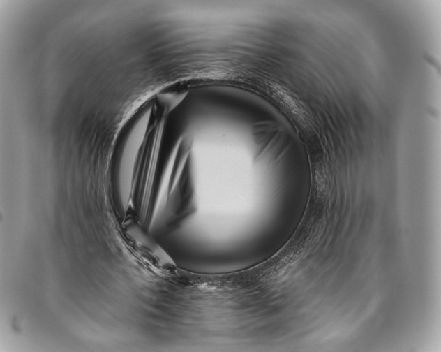 X0000096220532200802081527