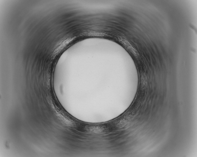 X0000096220533200802081527