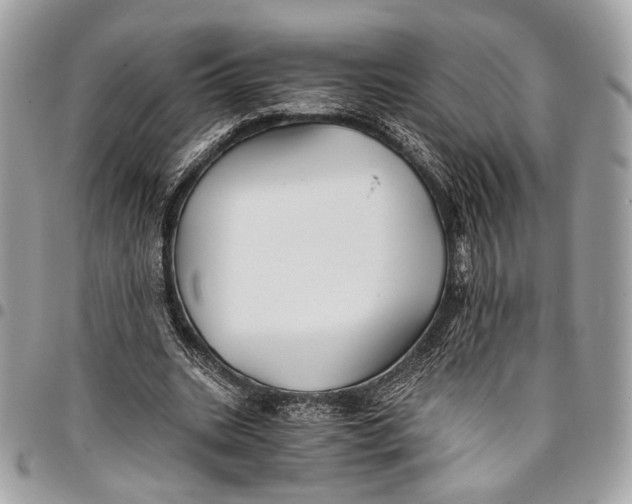 X0000096220535200802081527