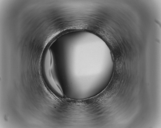 X0000096220536200802081527