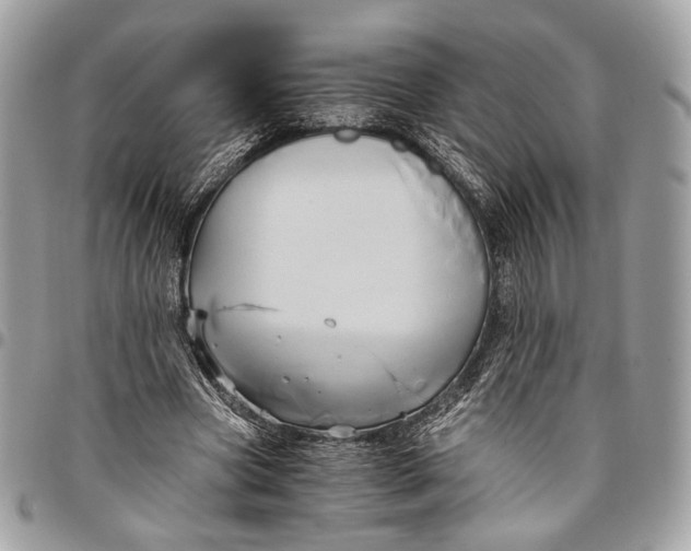 X0000096220537200802081527