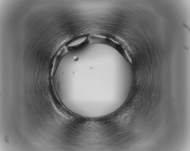 X0000096220538200802081527