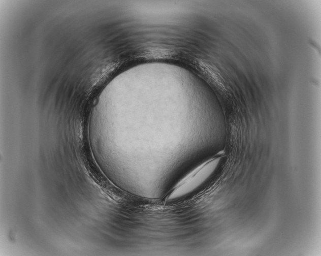 X0000096220539200802081527