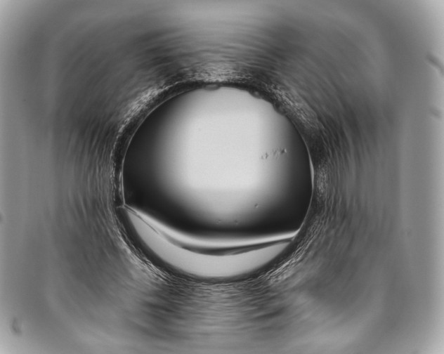 X0000096220540200802081527