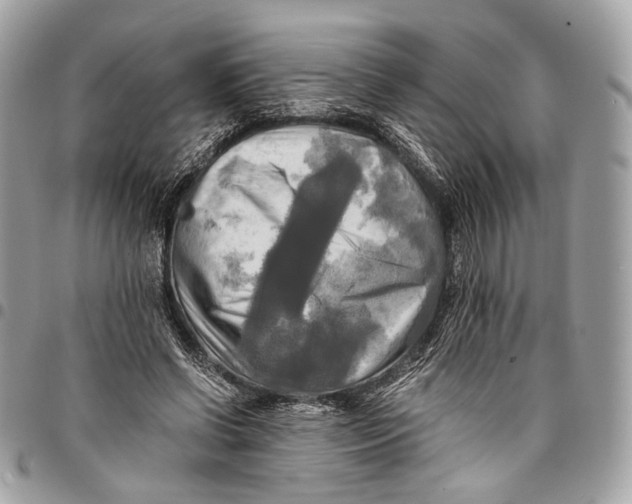 X0000096220542200802081527