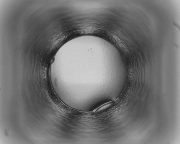 X0000096220543200802081527