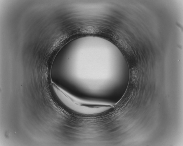 X0000096220544200802081527