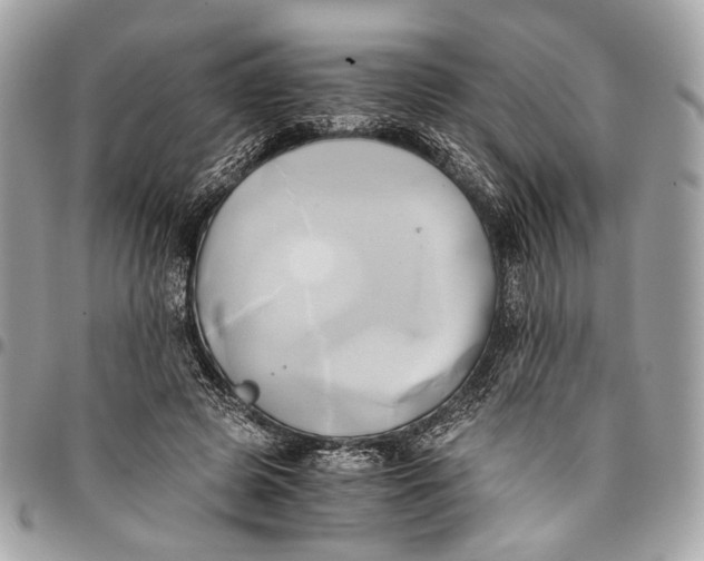 X0000096220545200802081527